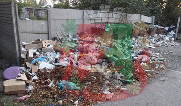 Оккупированный боевиками Дебальцево тонет в мусоре (фото)