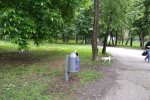 Дніпровські вандали влаштували переполох в одному з парків міста — "Навіть соромно дивитися"