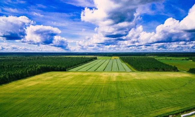 Сельскохозяйственная земля в Украине