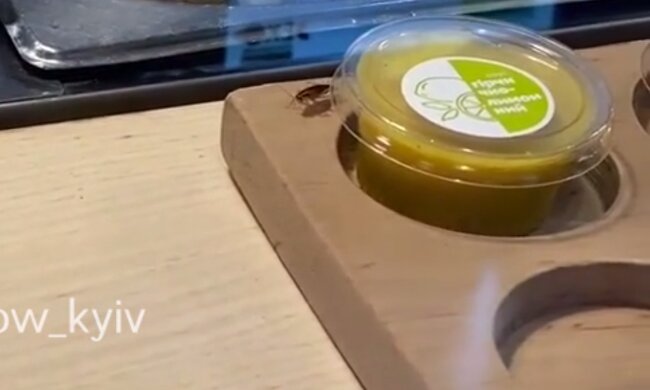 Тарган на прилавку, кадр з відео