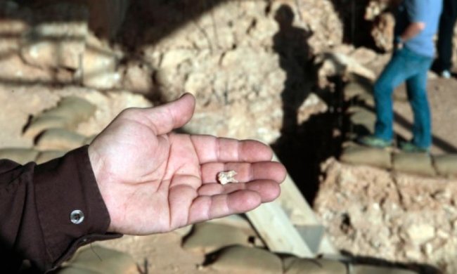 Французькі археологи знайшли людський зуб, якому півмільйона років