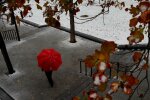 Прогноз погоды на декабрь фото: Униан