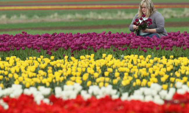 Девушка с цветами, фото: Getty Images