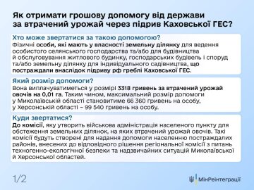 Як отримати допомогу. Фото: Мінреінтеграції