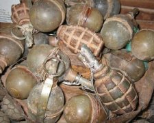 Полную сумку с гранатами нашли на Житомирщине