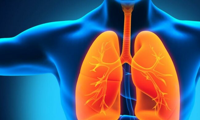 Медики научились выращивать искусственные легкие