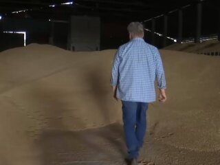 Зерно, фото: скріншот з відео