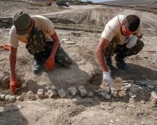 17 метров в длину: археологи наткнулись на древнейшую рептилию