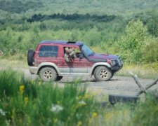 Обокрал побратимов: волонтеры вывели на чистую воду издевательство над целой бригадой