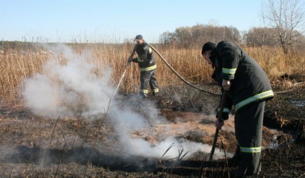 Под Киевом продолжают гореть около 68 га торфяников