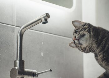 Перебої з водопостачанням в Одесі 18 серпня