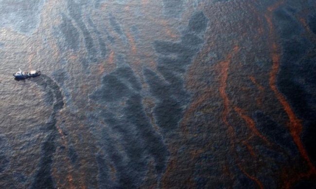 Синтетичний корал очищатиме океан від токсичних металів 