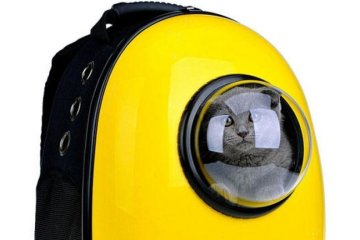Розробили рюкзак, який перетворює кота на астронавта