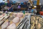 На курортах під Запоріжжям туристам згодовують золоту рибку - "800 за кілограм"