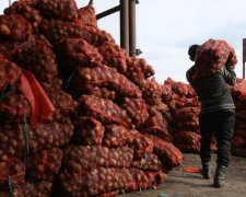 Полякам офіційно дозволять знущатися з українських заробітчан