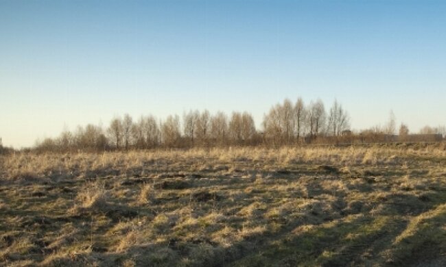 На Донеччині жінка підірвалась на розтяжці в полі