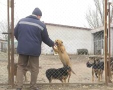 Волонтери, фото: скріншот з відео