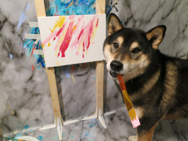 Неймовірно, талановитий пес створює приголомшливі картини. На продажу своїх робіт він отримав уже 5000 доларів