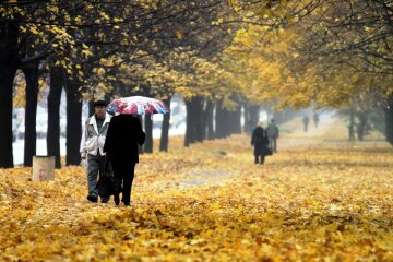Погода на завтра: стихия напомнит про осень и взбодрит украинцев