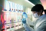В медицинской лаборатории выросло человеческое ухо