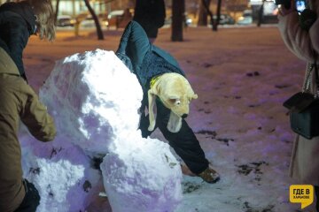 Харків'яни влаштували снігову битву, фото: Telegram де в Харкові