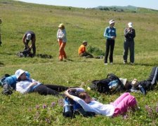Смертельний укус: Київ атакували непрохані гості