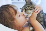 Дитина з котом. Фото з відкритих джерел