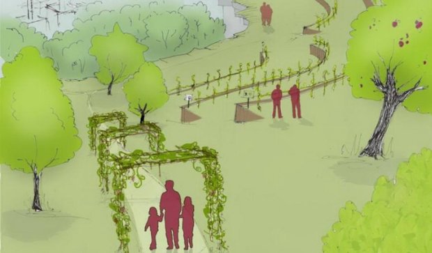  Во львовском парке «Знесиння» будут выращивать виноград