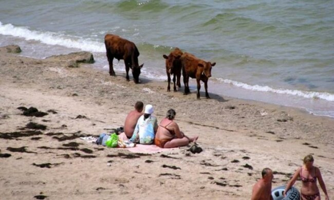Аксьонов зізнався в нахабній брехні відпочиваючим
