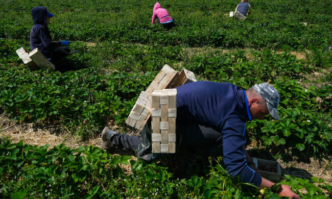 Заробітчани, фото: Getty Images