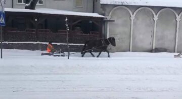 В Бродах лошадью на санях отгребают снег. Фото: скриншот.