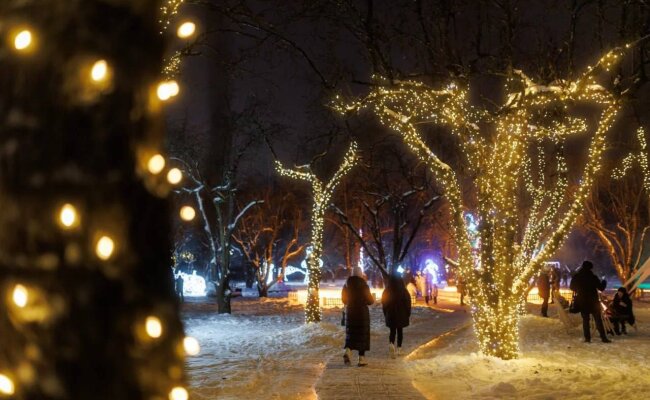 Украинцы, Новый год, фото из соцсетей