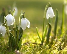 У квітні в Україну прийде літо