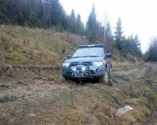 На Львівщині любов до грибів ледь не коштувала дівчині життя - батьки позеленіли від жаху