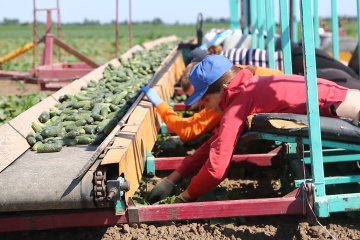 Яке свято 22 липня: чого не можна робити в цей день