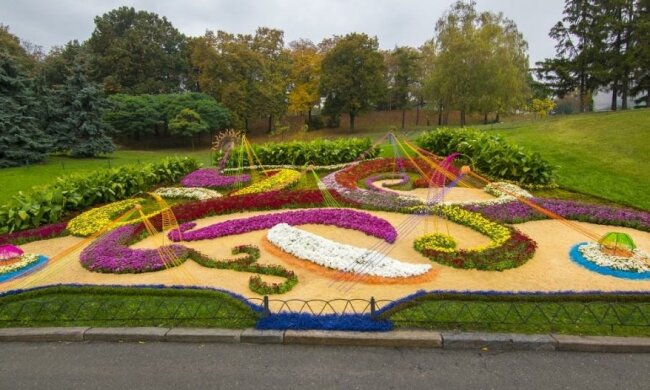 Фестиваль хризантем на Співочому полі відзначився рекордом