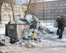 Гігантські щури заполонили центр Києва, люди шоковані