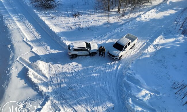 Госэкоинспекция