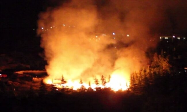 Окупаційна влада Криму намагалась приховати пожежу в "Артеку" (відео)