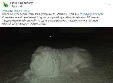 Скриншот поста в фейсбук