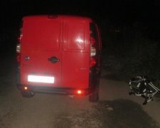 Трагедія на Івано-Франківщині: авто насмерть збило бабусю з онуком (фото)