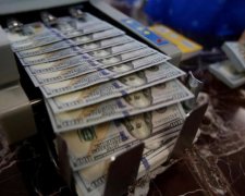 Курс долара на кілька років вперед: прогнози від МВФ