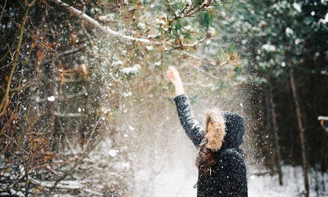 19 ноября: какой сегодня праздник