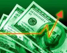 Сьогодні долар продають за 25 гривень