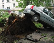 На Москву обрушився смертельний ураган: відео