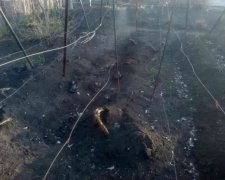 Чоловік підірвався на гранаті через сварку з дівчиною