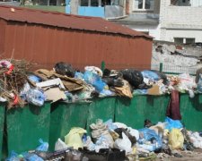 У Львові рапортують про досягнення в боротьбі зі сміттям