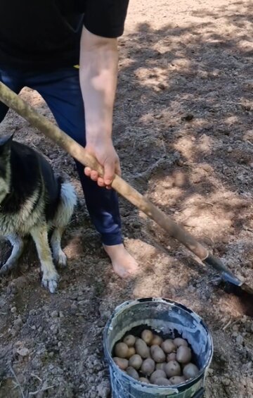 Павло Зібров, скріншот: Instagram