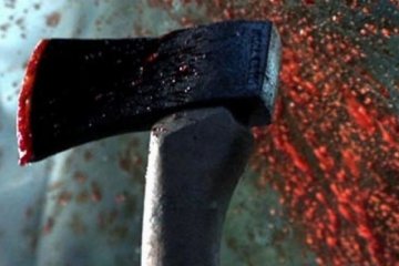 Як у відеогрі: студент із сокирою напав на жінку  (фото)