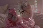 Гороскоп, изображение: Pinterest